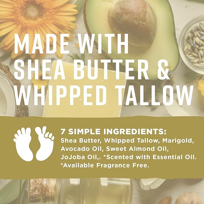 Pilotfish After Sun Body Butter Moisturizing Cream - Shea Butter & Whipped Tallow, Simple Ingredients, After Sun Lotion, Body Lotion, Fragrence Free, After Sun Care, After Sun Skin Care, 3.8oz