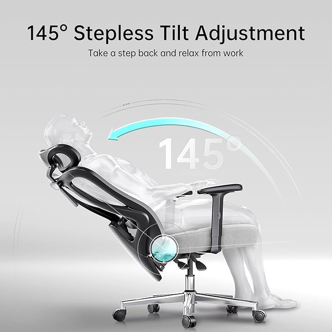 Hbada P3 Ergonnomic Office Chair with 2D Adjustable Lumbar Support, Office Chair with Adjustable Headrest and Armrest, 145° Stepless Tilt Function, Grey(No Footrest)