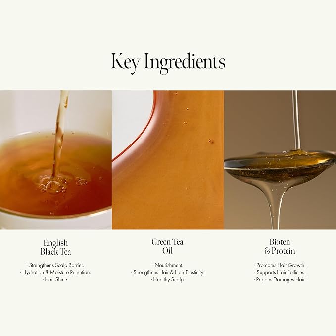 ANILLO Black Tea Nourishing Hair Essence with Green Tea Oil, Protein & Biotin for Nourishment and Shine - Creamy Woody Scent, Vegan, Paraben-Free 50ml / 1.69 fl. Oz