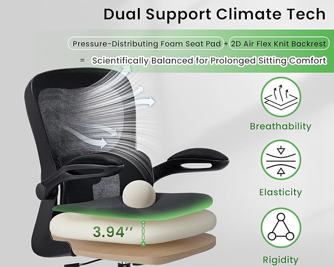 AreShark Office Chair Ergonomic Desk Chairs with Adjustable Lumbar Support, High Back Breathable Mesh Chair with Wheels& Flip-up Armrests,Rolling Swivel Comfy Task Computer Chair for Home Work Gaming