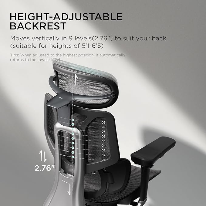 Hbada E3 Pro Ergonomic Office Chair, Big and Tall Office Chair - with 3-Zone Dynamic Lumbar Support, 4D Adjustable Headrest, 6D Adjustable Armrests, Swivel, Black(No Footrest)