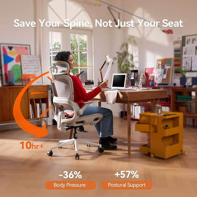 SIHOO B100 Office Chair, Comfy Ergonomic Office Chair, High Back Computer Chair with Adaptive Lumbar Support & Wide Headrest, Flip-up Armrests, Swivel Desk Chair for Long Hours, Grey