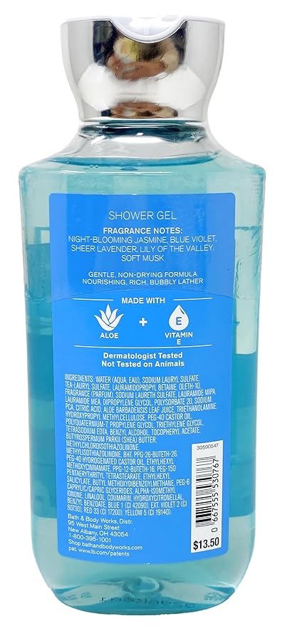 Bath and Body Works Moonlight Path Shower Gel Gift Sets 10 Oz 2 Pack (Moonlight Path)