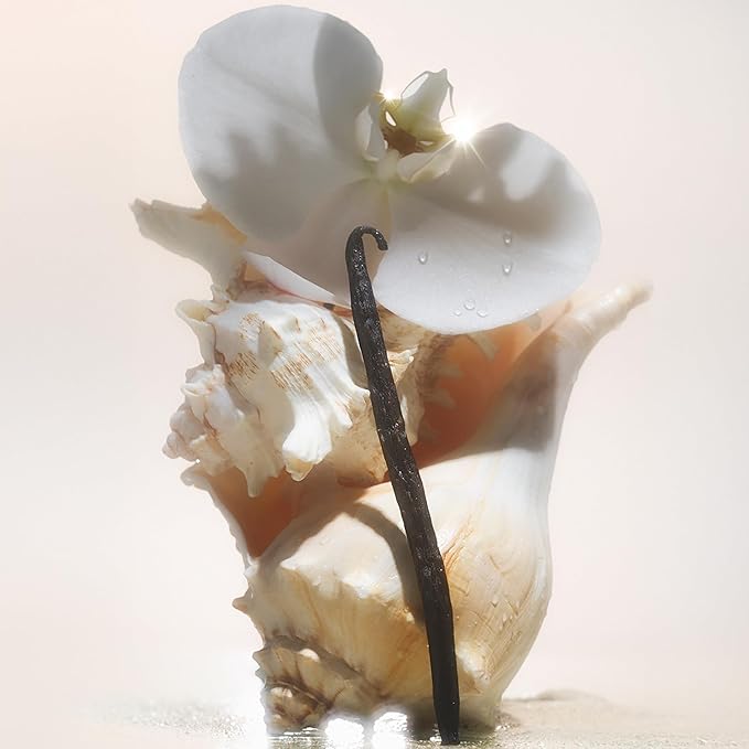 Salt Water Vanilla Sunscreen SPF Body Oil