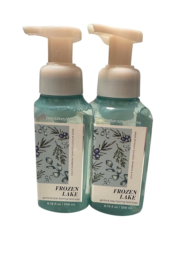 Bath and Body Works Gentle & Clean Foaming Hand Soap 8.75 Ounce 2-Pack (Frozen Lake)
