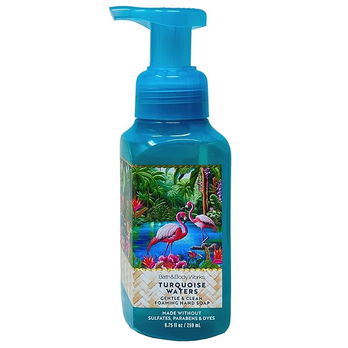 Bath & Body Works Turquoise Waters 2 Pack Gentle & Clean Foaming Hand Soap Bundle with a Natural Oats Sample Soap