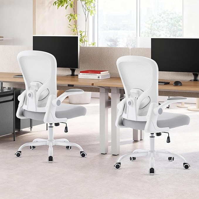 Ergonomic Office Chair, Computer Desk Chair with Adjustable Lumbar Support and Flip-up Armrests, Rocking Function, Comfy Mesh Office Desk Chair for Home Office, Grey