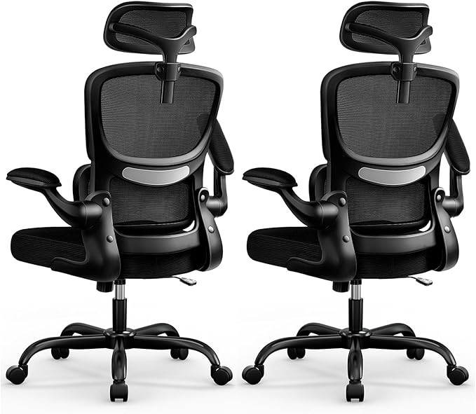 High Back Ergonomic Office Chair, Breathable Mesh Desk Chair with Lumbar Support, Adjustable Headrest, Flip-up Armrests, Computer Gaming Chair, (Black, 2Pack)