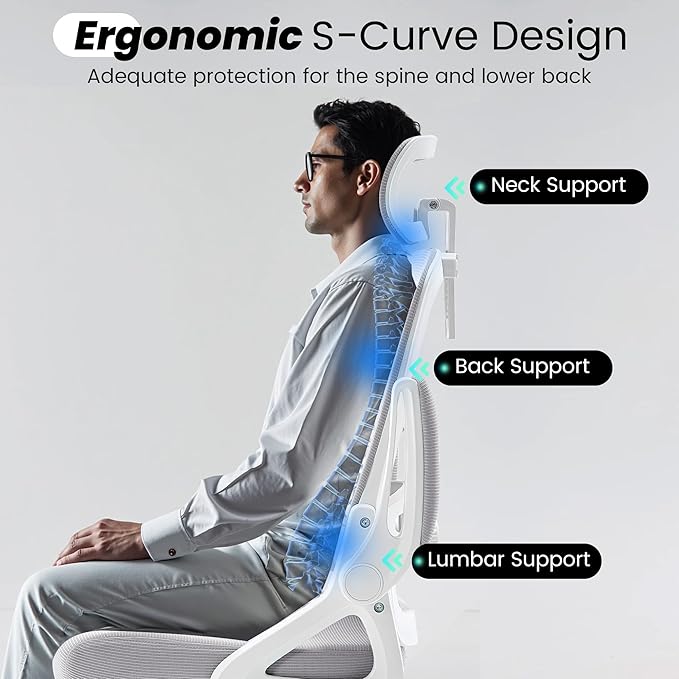 Fizzin Ergonomic Office Chair, 400 LBS Desk Chair with Adjustable Lumbar Support, High Back Breathable Mesh Computer Chair Rolling Work Swivel Task Chairs, Comfy Home Office Desk Chair (Gray)