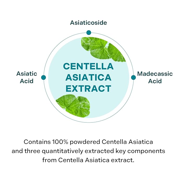 ALIVELAB Centella Dressing Powder – Acne Spot Treatment for Face | Pimple & Cystic Acne Care | Redness-Calming, Oil-Absorbing Powder for Sensitive Skin | Korean K-Beauty Blemish Care – 0.27oz