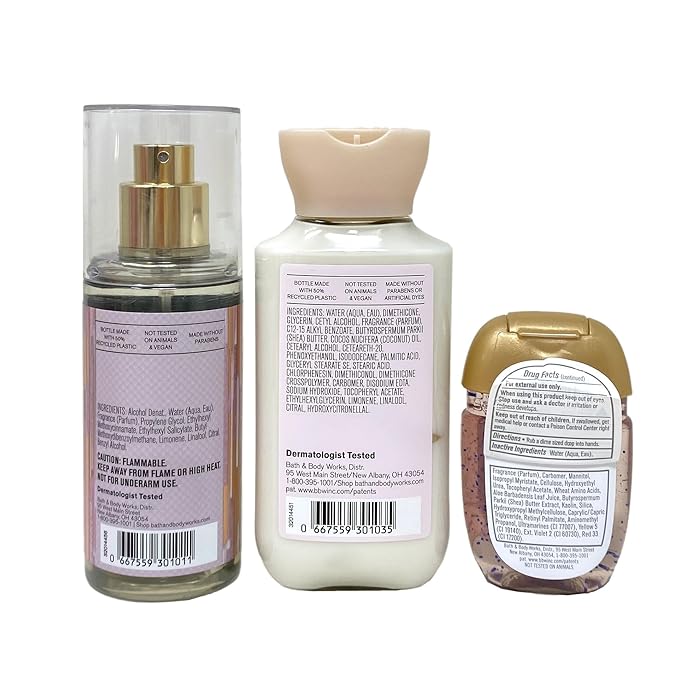 Bath & Body Works Champagne Toast Toasting To You Mini Gift Bag Trio Bundle - Fragrance Mist, Body Lotion and Hand Gel - with a Himalayan Salts Springs Sample Soap - Travel Size