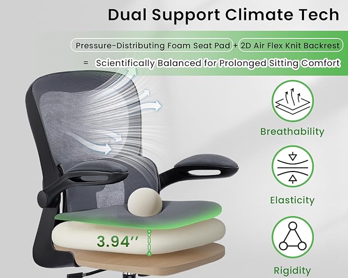 AreShark Office Chair Ergonomic Desk Chairs with Adjustable Lumbar Support, High Back Breathable Mesh Chair with Wheels& Flip-up Armrests,Rolling Swivel Comfy Task Computer Chair for Home Work Gaming
