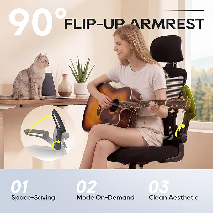 Ergonomic Office Chair, High Back Mesh Desk Chair with Adjustable Lumbar Support & Headrest, Flip-up Armrest, Computer Task Chairs for Home and Executive Office (B-Black)