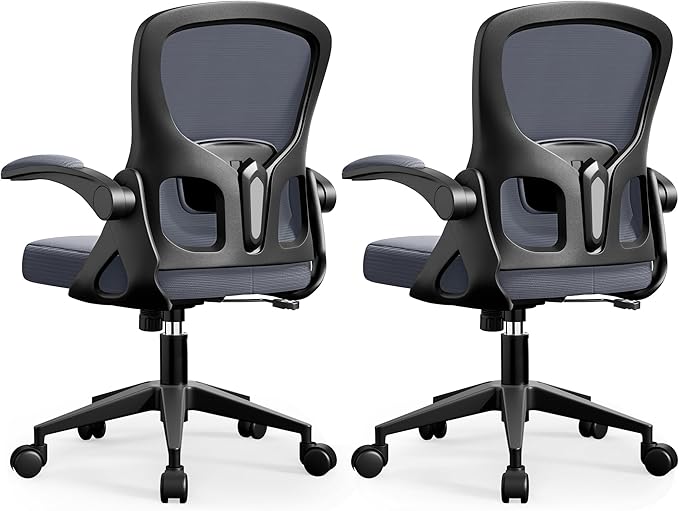 Office Chair Ergonomic Desk Chair, Adjustable Lumbar Support Rolling Swivel Comfy Chair with Space-Saving Flip Up Armrests, Mesh Gaming Chair for Business Work Office & Home, Dark Gray 2pcs