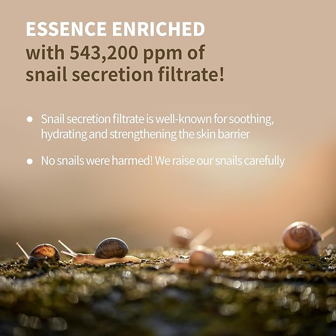 BENTON Snail Bee High Content Lotion 120ml (4.05 fl oz.) - Snail Mucin Moisturizer With Bee Venom | Hydrating Korean Skin Care Facial Moisturizer For Dry Skin & Combination skin