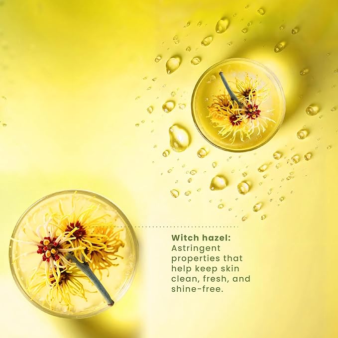 PILI Witch Hazel Facial Toner. Control Excess Oil & Shine. Natural Astringent & Facial Toner. Moisturizer for Acne Prone Skin with Refreshing Witch Hazel, Hamamelis Virginiana. 8.4 oz
