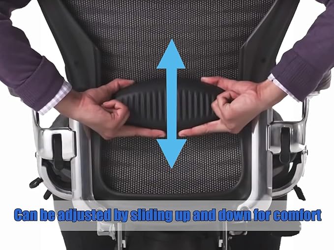 Ketofa Lumbar Support Pad Replacement for Herman Miller Classic Aeron Chair - Size C