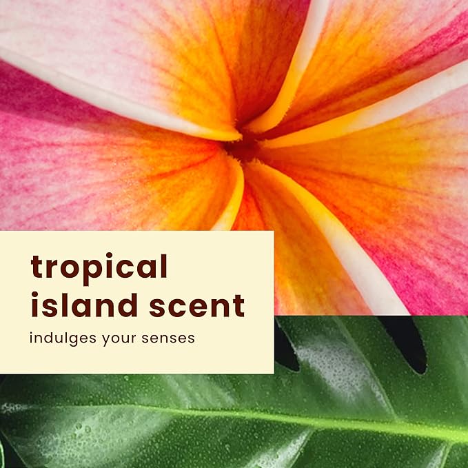 Hawaiian Tropic Sheer Touch Lotion Sunscreen SPF 15, 8oz | Hawaiian Tropic Sunscreen SPF 15, Sunblock, Broad Spectrum Sunscreen, Oxybenzone Free Sunscreen, Body Sunscreen SPF 15, 8oz (Pack of 2)