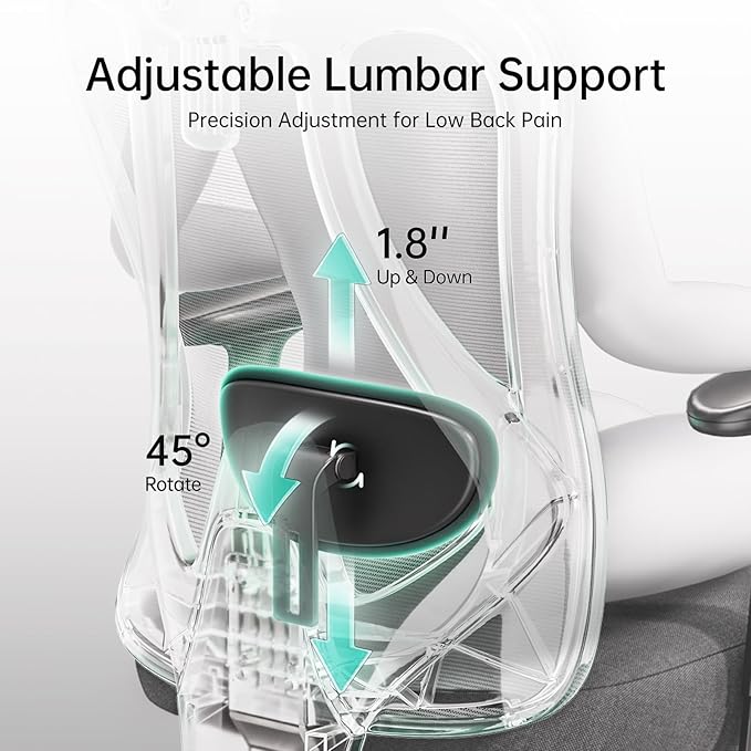 Hbada P3 Ergonnomic Office Chair with 2D Adjustable Lumbar Support, Office Chair with Adjustable Headrest and Armrest, 145° Stepless Tilt Function, Grey(No Footrest)