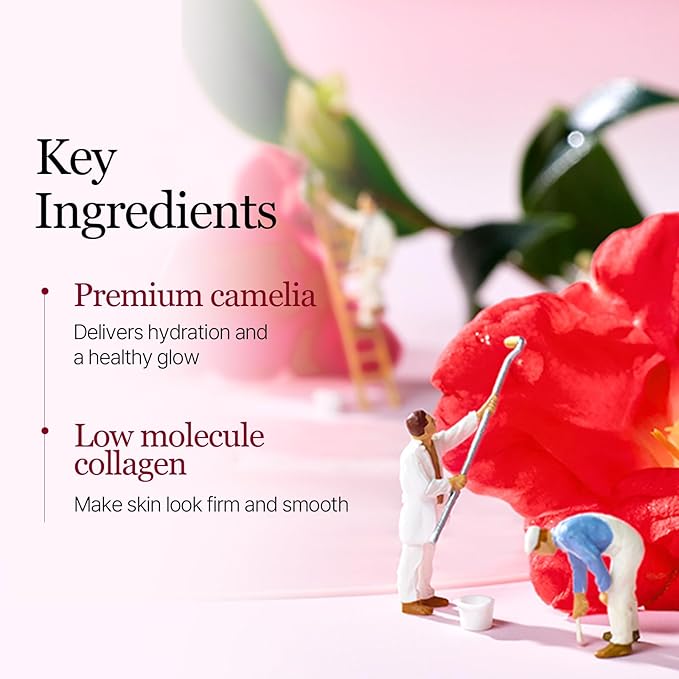 ROUND LAB Camellia Collagen Mask, 30min Hydrogel Face Mask, Quick Hydration, Firming&Pore Minimizing, For sensitive skin, Micro molecule collagen, Korean Skin Care 34 g/1.19 Fl Oz 1ea