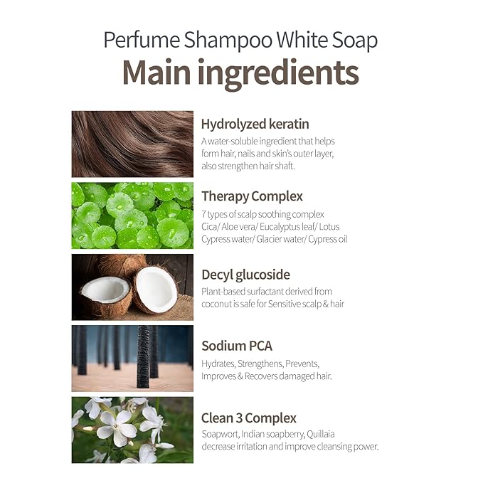Hydrating Shampoo for Dry Hair, Nourishing Korean Hair Care, Long-Lasting White Soap Fragrance, Hydrolyzed Keratin, Paraben-Free, 16.9 fl oz