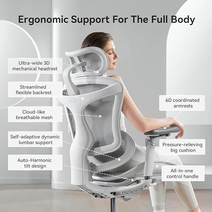 SIHOO Doro C300 Pro Ergonomic Office Chair with Ultra-Soft 6D Armrests, Dynamic Lumbar Support, Seat Depth Adjustment, Adjustable Backrest, Big and Tall Desk Chair for Home Office (Grey)