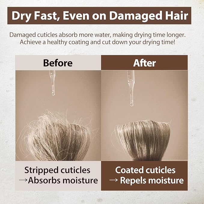 Mise En Scene Salon 10 Protein Shampoo for Severe Damaged Hair - Low porosity Hair Product, Korean HairPerfume Shampoo, 10-Sec Protein Clinic, Moisturizing & Restoring, 16.9 Fl. Oz. (500ml)