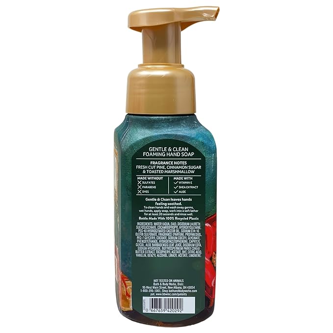 Bath & Body Works The Perfect Christmas 2 Pack Gentle & Clean Foaming Hand Soap Bundle with a Himalayan Salts Springs Sample Soap