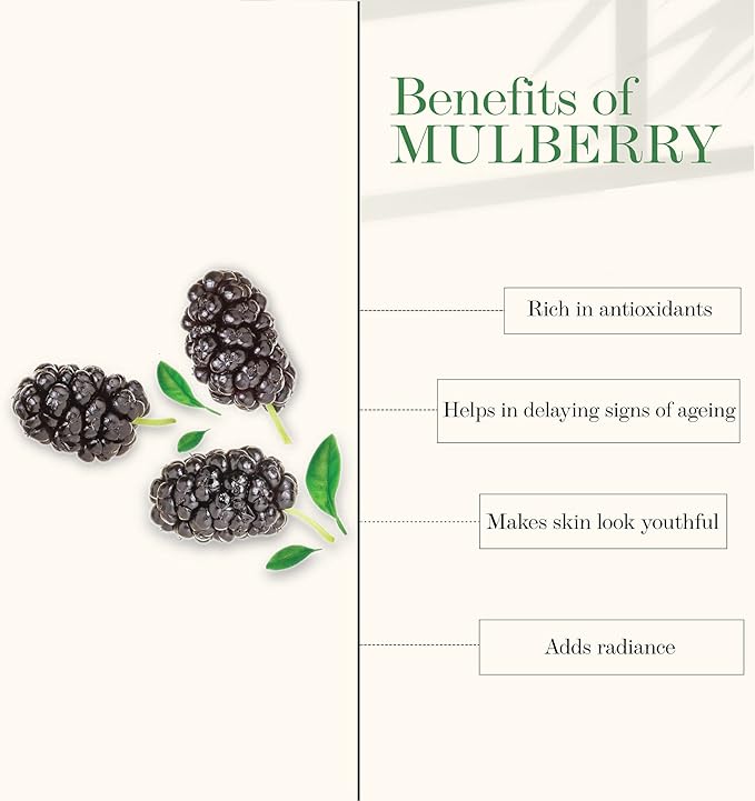 Good Vibes Mulberry Toner - 120 ml - Maintains Skin Elasticity and Keeps Complexion Healthy and Refreshed