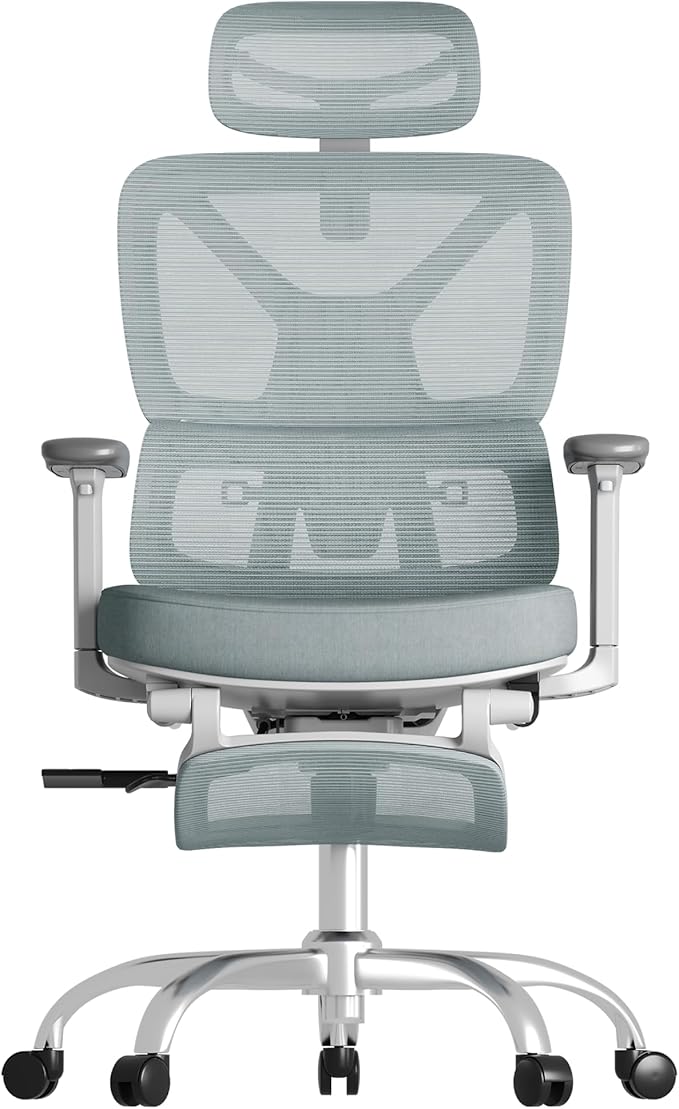 FLEXISPOT ErgoX Premium Ergonomic Office Chair with Footrest- Adjustable 3D Armrests, Dynamic Lumbar Support, Recline & Tilt Function, Mesh Seat, for Home & Office Use,Blue Foam