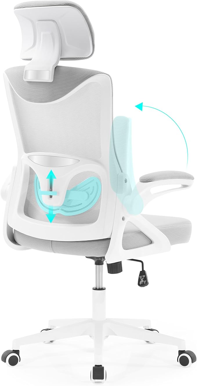 Fizzin Ergonomic Office Chair,Ergonomic Desk Chair with Headrest Mesh Computer Chair with High Back Adjustable Lumbar Support, Rolling Swivel Chairs with Wheel Armrests for Home Office(Gray)
