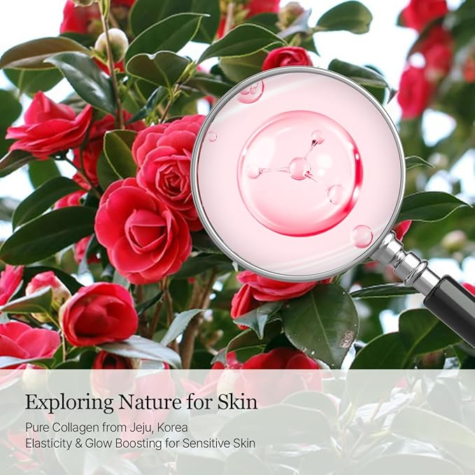 ROUND LAB Camellia Collagen PDRN Milky Toner 5.07 Fl Oz, Hydrating Elasticity-Boosting Glass Skin Toner with Low Molecular Collagen and Camellia Flower Extract, Milky Glow Texture, Korean Skincare