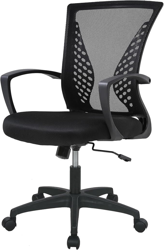 FDW Home Office Chair Mid Back PC Swivel Lumbar Support Adjustable Desk Task Computer Ergonomic Comfortable Mesh Chair with Armrest (Black)