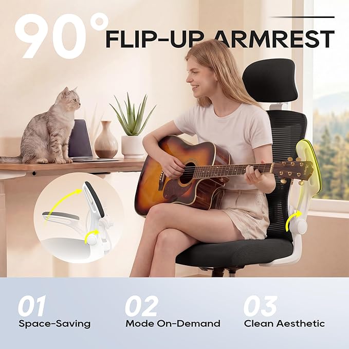 Ergonomic Office Chair, High Back Mesh Desk Chair with Adjustable Lumbar Support & Headrest, Flip-up Armrest, Computer Task Chairs for Home and Executive Office (W-Black)