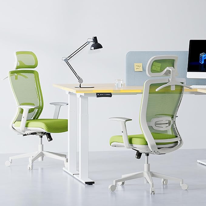 FLEXISPOT Ergonomic Office Chair Mesh Back Computer Chair Home Office Desk Chairs with Adjustable Lumbar Support/2D Headrest/Reliable Base, Elastic Foam Seat, Green, OC3 Cloud
