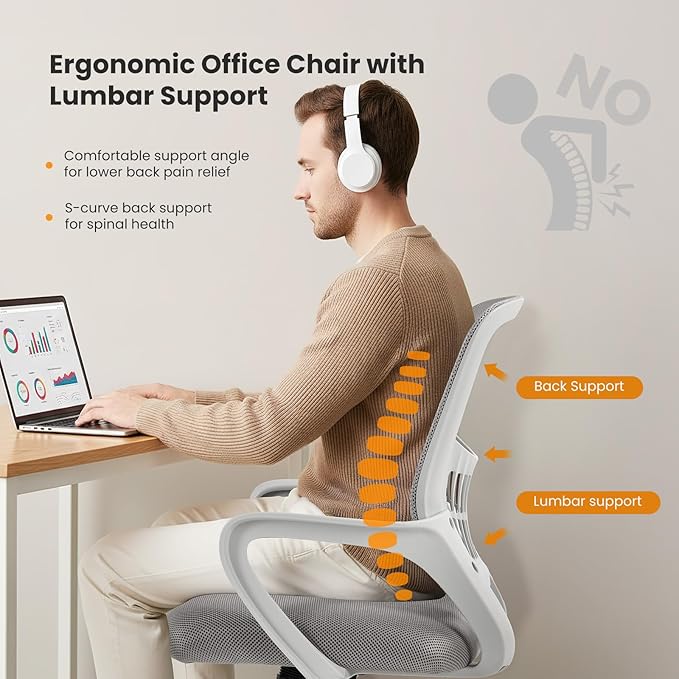 NEWBULIG Home Office Chair Desk Computer Chair Adjustable Ergonomic Lumbar Support Executive Chair with High Density Mesh 360 Degree Swivel Rolling Chair for Men Women Adults Gray