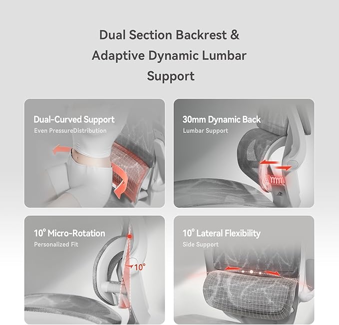 SIHOO M59AS Ergonomic Office Chair, Desk Chair with 3D Flip-up Armrests, Computer Chair with Dual Back Design and Adaptive Dynamic Lumbar Support Grey
