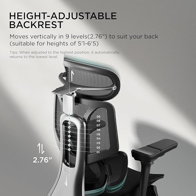 Hbada E3 Pro Ergonomic Office Chair, Big and Tall Office Chair - with 3-Zone Dynamic Lumbar Support, 4D Adjustable Headrest, 6D Adjustable Armrests, Swivel, Black