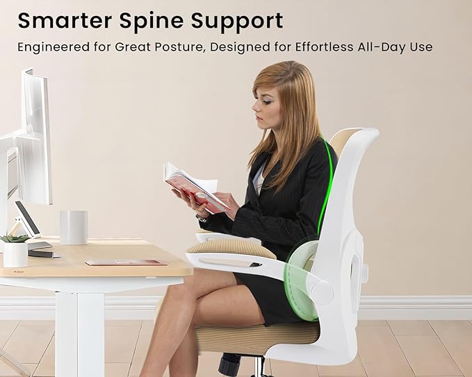 AreShark Office Chair Ergonomic Desk Chairs with Adjustable Lumbar Support, High Back Breathable Mesh Chair with Wheels& Flip-up Armrests,Rolling Swivel Comfy Task Computer Chair for Home Work Gaming