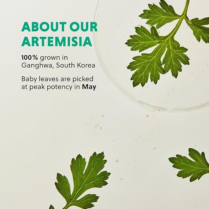 HANYUL Artemisia Toner + Toner Pads