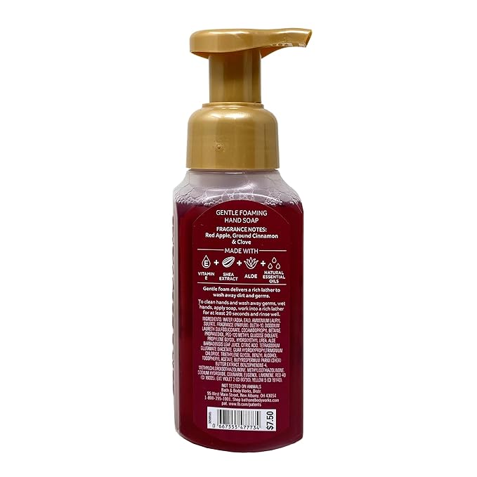 Bath & Body Works 'Tis The Season 4 Pack Gentle Foaming Hand Soap Bundle with a Natural Oats Sample Soap