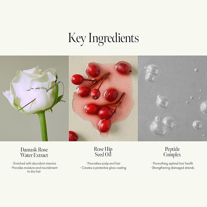 ANILLO Rosy Night Hair Ampoule Treatment for Damaged Hair – Water-to-Cream Repair Formula with Peptides & Amino Acids – Frizz Control, Color Safe, Silicone-Free, Floral Musk Scent – 6.76 fl oz