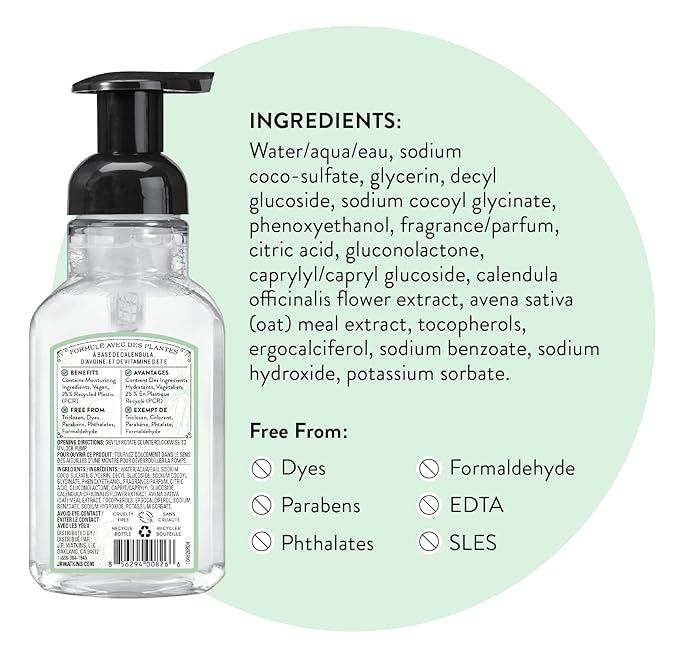 J.R. Watkins Foaming Hand Soap Pump with Dispenser, Moisturizing Hand Soap Foam, Alcohol-Free and Cruelty-Free, Use for Kitchen or Bathroom, Menthe a la Vanille/Vanilla Mint, 9 fl oz, 3 Pack