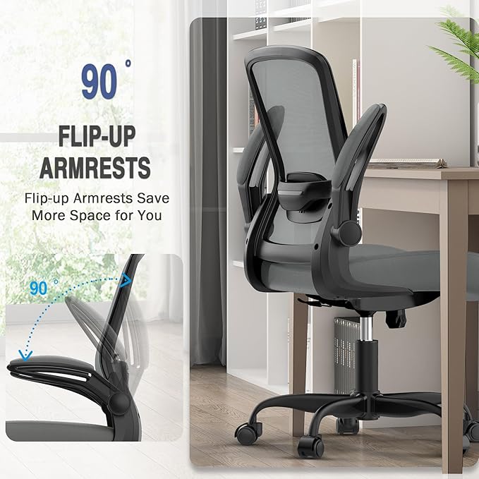 Mimoglad Home Office Desk Chair (Modern, Graphite)