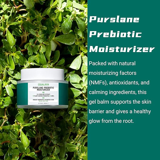 Cactus Ceramide Fortifying Milk and Purslane Prebiotic Moisturizer Bundle Reinforce & Support Moisturizing Skincare
