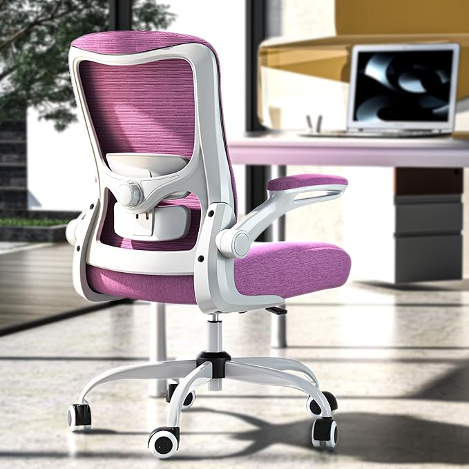 Ergonomic Office Chair - High Back Desk Chair with Adjustable Lumbar Support, Breathable Mesh Back, 330LBS Capacity, Easy Assembly, for Home Office Executive Computer Task