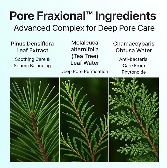 One Shot Pore Clear Pad with LHA, Tea Tree Leaf Water, Pine Extract - Portable Pore Care Toner Pad for Exfoliation, 7-Sheet Pack