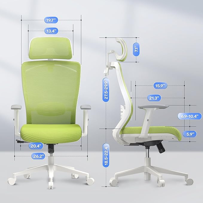 FLEXISPOT Ergonomic Office Chair Mesh Back Computer Chair Home Office Desk Chairs with Adjustable Lumbar Support/2D Headrest/Reliable Base, Elastic Foam Seat, Green, OC3 Cloud