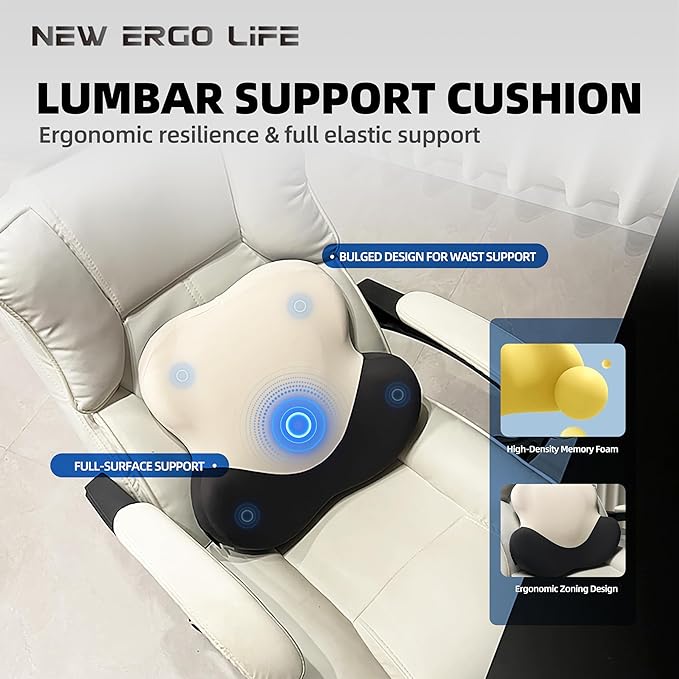 Lumbar Support Cushion, Memory Foam Back Support for Pain Relief, Ergonomic Waist Cushion for Office Chair, Car Seat, and Home, Removable & Washable Cover