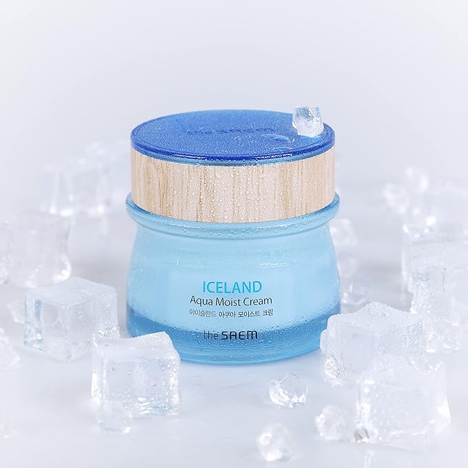 THESAEM Iceland Aqua Moist Cream - Intensive Hydrating Face Moisturizer with Icelandic Mineral Water, Kelp & Marine Active Ingredients - Deep Moisture Barrier Cream for Dry Sensitive Skin, 2.02 oz.